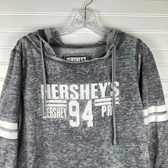 Hershey park Gray Hooded sweatshirt Size Large - Picture 2 of 6